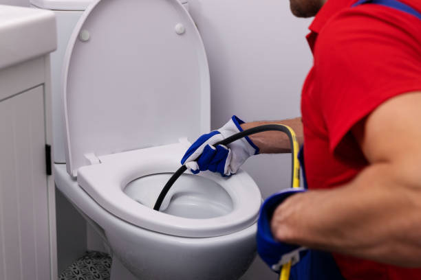 Best Clogged Drain Plumber  in Hustisford, WI